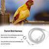 Macaw Harness Flying Training Leash Anti-bite Leg Ring Ultra-light Flexible Rope Parrot Bird