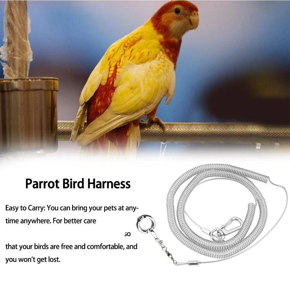 Macaw Harness Flying Training Leash Anti-bite Leg Ring Ultra-light Flexible Rope Parrot Bird