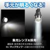 Carmate Car LED Room Lamp GIGA Natural White Light T10 5000K 110lm 2pcs BW251