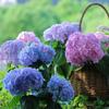 Outdoor Artificial Hydrangea Flowers UV Resistant Fake Plants, Faux Plastic Flower