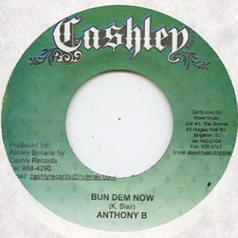7-дюймовая пластинка ANTHONY B / NEW KIDZ - Bun Dem Now / See What A Mean Cashley 2006 Ямайка Регги, Ска и Даб