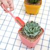 Набор для пересадки бонсай, суккулентов, растений, DIY, сверление, садовые аксессуары, устройство для полива