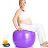 Exercise Yoga Ball Chair with Hand Pump Mat Pilates Thick Balance Ball for Core Pregnancy and Childbirth Stability Purple Anti-Burst Ball, Device,