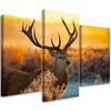 Three Piece Picture Canvas Print Deer Animal Sunset Nature