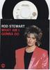 7-дюймовая пластинка ROD STEWART What Am I Gonna Do 729564 WARNER BROS. 1983 Канада Скала Использованная
