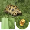 Moisturizing Frog Tortoise Mat Green Micro Landscape Thicken Reptile Carpet For Snake Lizard