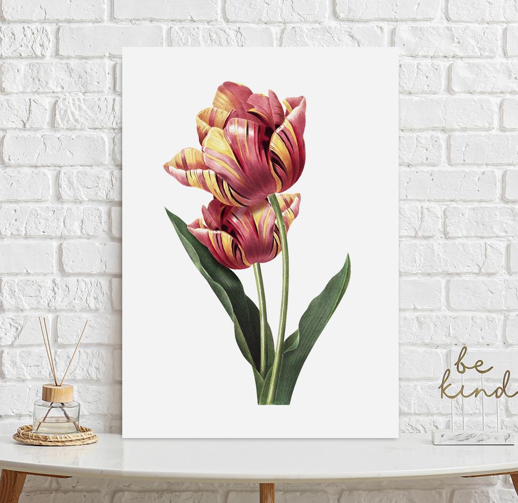 Tulip Flower Vintage Poster