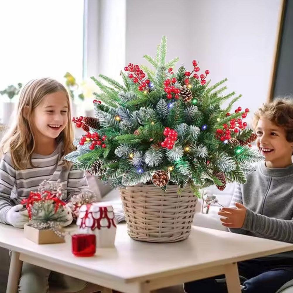Праздничные кашпо Наполнитель для праздничных кашпо Праздничные кашпо Рождество Праздничные кашпо Наполнитель для праздничных кашпо Уличные украшения Освещенные искусственные рождественские елки со штативом
