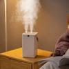 3l Large Capacity Home Room Desktop Electric Dual Nozzle Air Humidifier Usb Ultrasonic Aromatherapy Essential Oil Diffuser