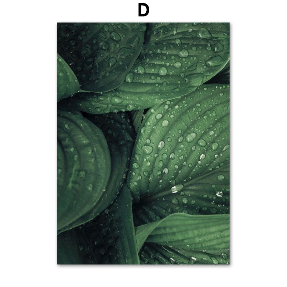 Свежие зеленые растения папоротники банановый лист плакаты на скандинавскую тему и принты холст живопись настенные художественные фотографии для гостиной домашний декор