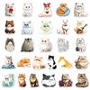 52 Persian Cat Graffiti Stickers Personalized Cartoon Cute Cat Decorative Water Cup Mobile Phone Luggage Sticker