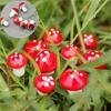 50pcs Artificial DIY Accessories Mini Red Mushroom Decorative Fence Potted Miniatures Fairy Garden Moss Terrarium Decor