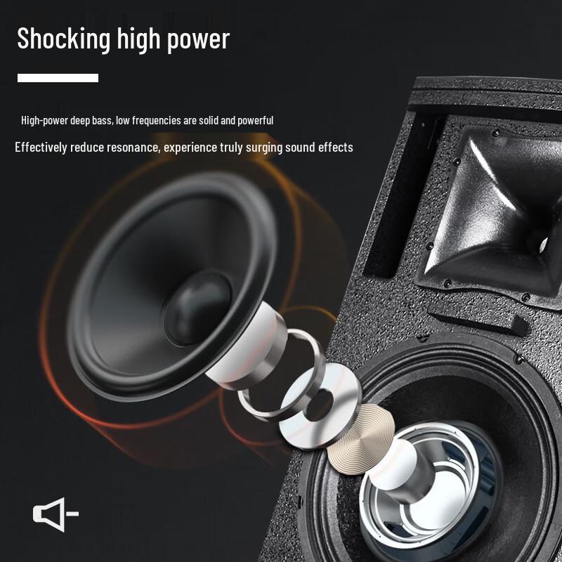 HuiDu MK-10 Professional Passive Stage Speaker