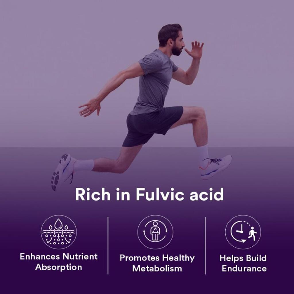 Baidyanath Asli Ayurved Himalayan Shilajit Resin 20Gm Pack Of 1 For Energy Stamina Performance