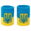 Напульсник спортивный махровый Украина Ukraine BC-4063 2шт желтый-голубой