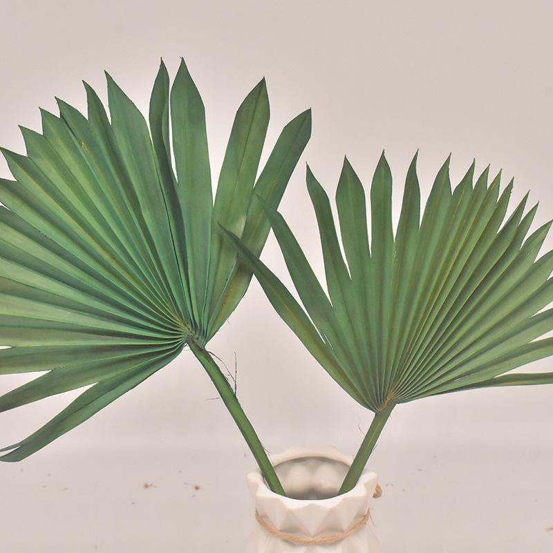 Dried Flower Bouquet Material New Version Guanyin Fan Flower Arrangement Decoration Rural Home Palm Dried Flower Material