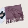 Autumn and Winter New Solid Color Scarf Imitation Cashmere Scarf Women's Warm Shawl Scarf