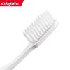 Colgate Slim Soft Toothbrush & Calcium Toothpaste Bundle