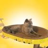 Oval Cat Scratch Board Bite Resitent Cat Wear Resistant Nest  Protecting Furniture