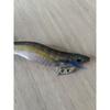 Used YAMASHITA EGI-OH EGI-OH K 3.5 S shallow