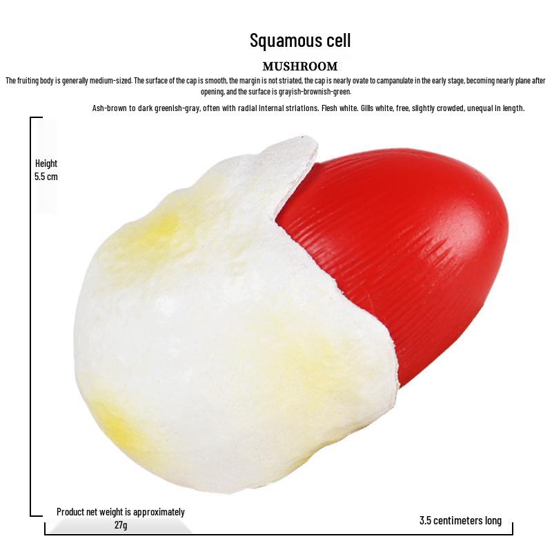 Simulated Vegetables & Mushrooms: Educational Props & Decorative Toys for Kindergarten