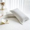 Soft Pillowcase Warm Pillow Cover Rectangle Cushion Cover 50x75cm White Pillow Case Capa De Almofada 2pcs Velvet Pillowslip