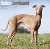 Книга Italian Greyhound Calendar 2020