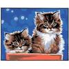 Canvas Kit - Margot - Kittens - 20x25cm - Printed Canvas - Needle Included