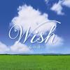 CD РАЗНЫЕ - Wish -Поэзия Сердца- UCCS3028 Япония ObiMusic Другие Б/У