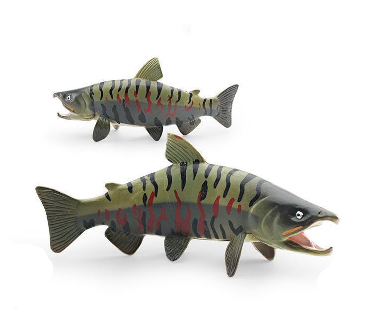 [Nekogamiyama] Salmon, Salmon, River Fish, Fish Figurine, Model, Miniature, Ornament, Interior Decor, Collectible Model