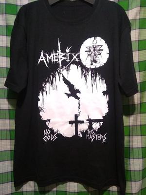 Футболка Amebix No Gods No Masters подарок для фаната BL1170