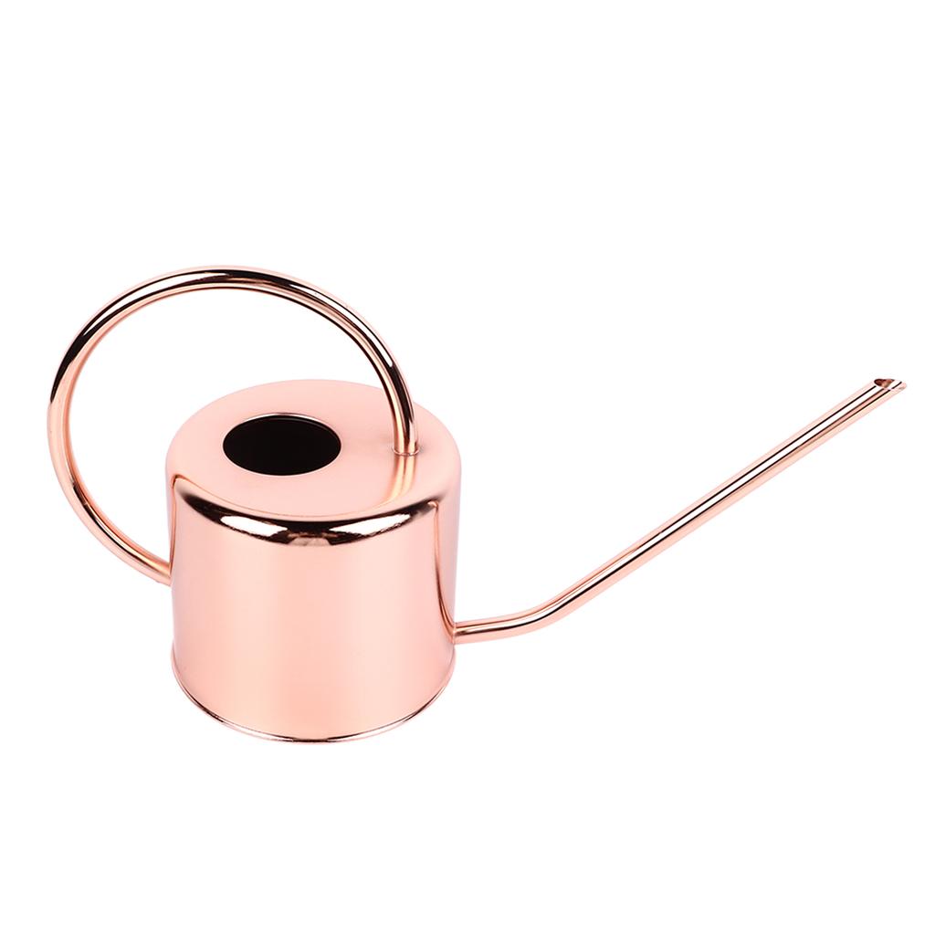Watering Can Stainless Steel Large Capacity Retro Small Long Spout Water Can for Home Garden