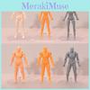 Action Figma Figure Male Female Pvc Model For Drawing And Display Enthusiasts
