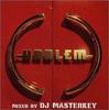 CD DJ MASTERKEY  HARLEM MIXED BY DJ MASTERKEY BVCP21065PROMO BMG 1998 Япония Японская Клубная Танцевальная Б/У
