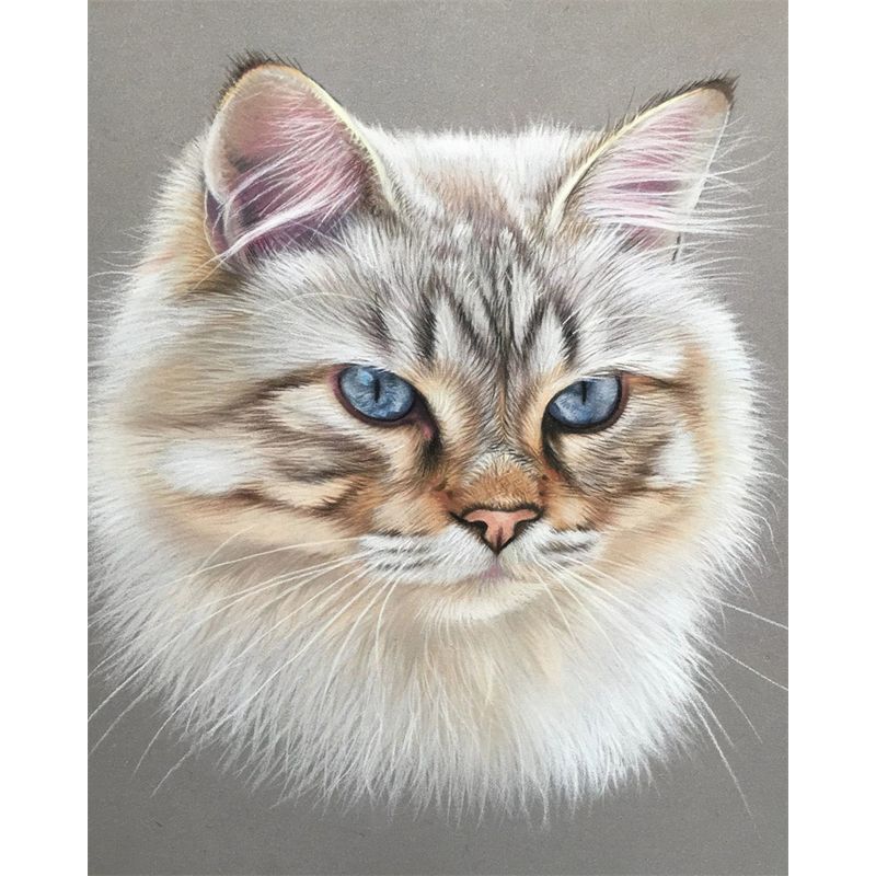 5D алмазная живопись животное вышивка крестом ремесло полная круглая дрель Алмазная вышивка полный комплект домашний декор ремесленный комплект