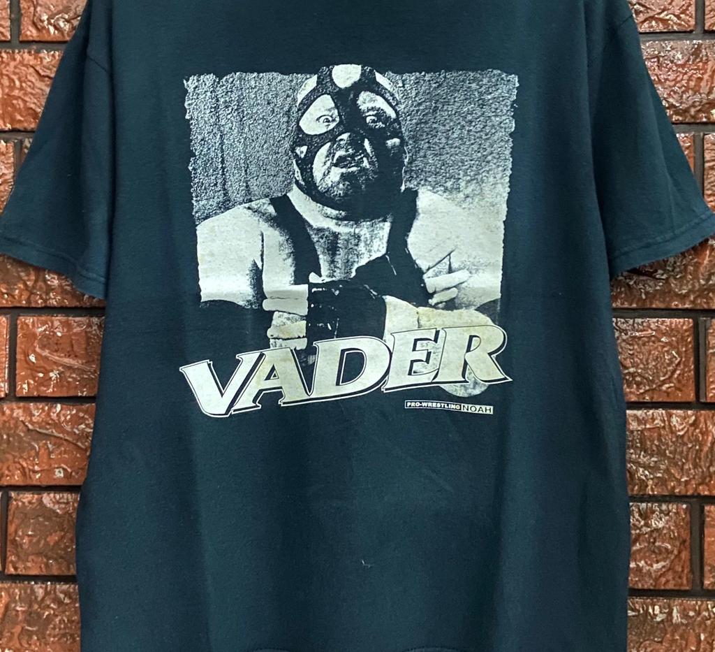 Big Van Vader black T-Shirt Mens Womens Tees Top Unisex tee All sizes S to 45Xl JJ5189
