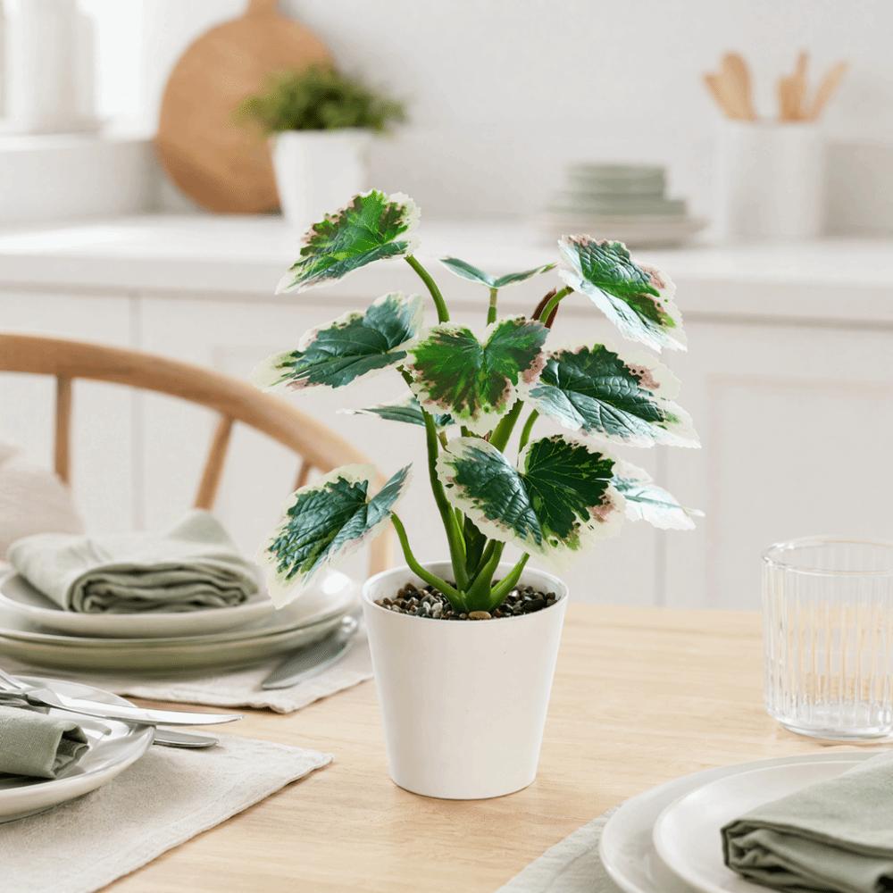 green evergreen foliage potted table ornament hotel guest room shelf display decor
