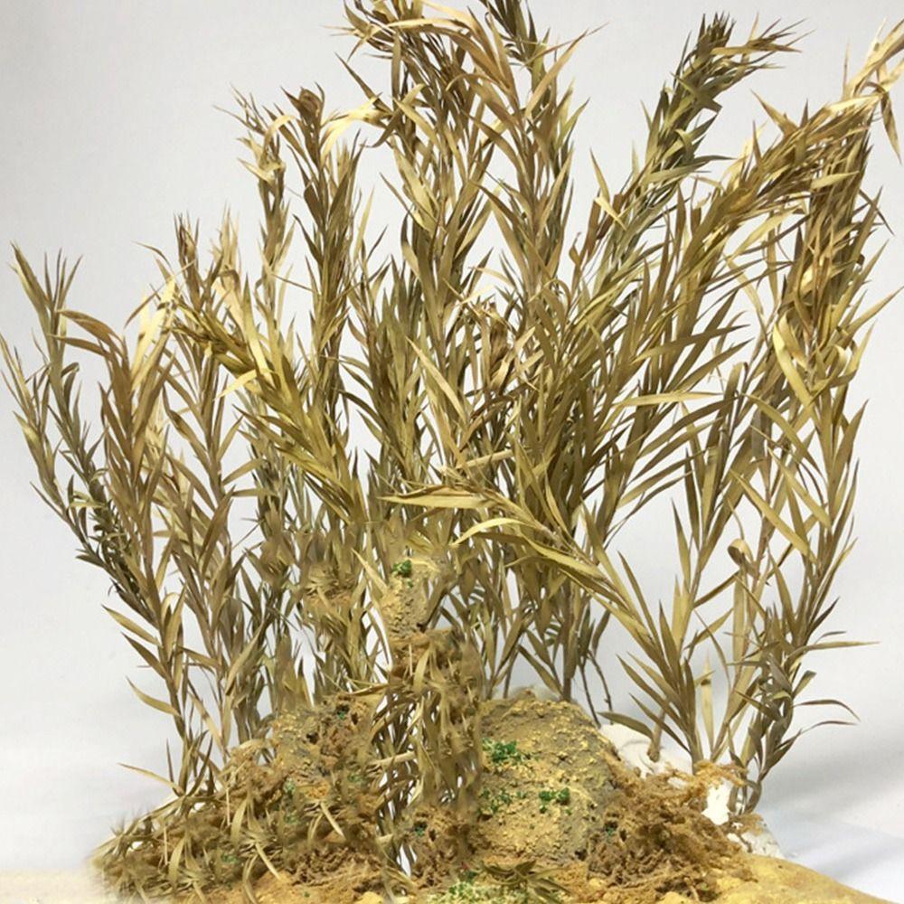 Сад Железнодорожный пейзаж Микропейзаж Песочный стол Растительность Скопление длиннолистной травы Миниатюрный тростник