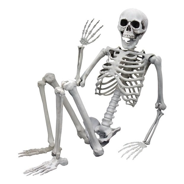 Szkielet człowieka model kościotrup halloween 170cm kostium dekoracje