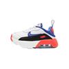 Air Max 2090 'Эволюция Иконы' TD CW1649-100