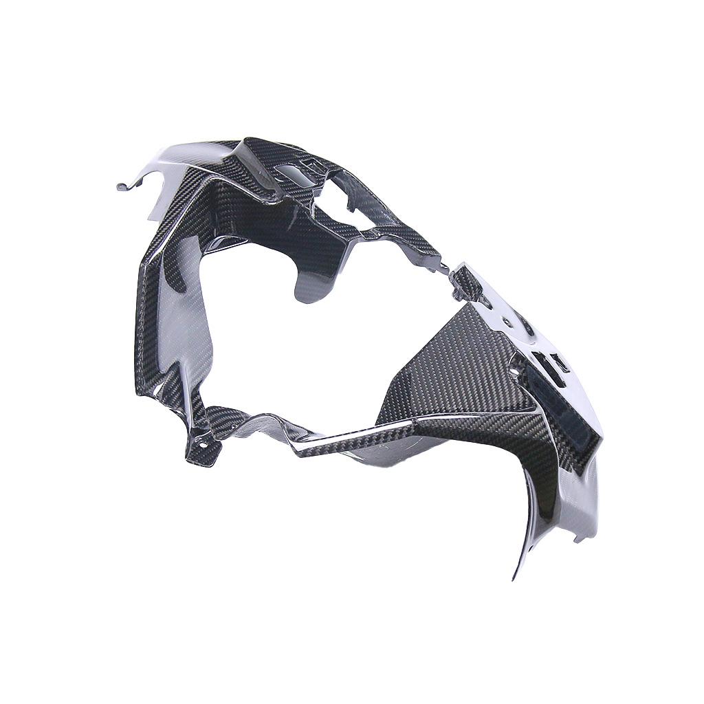 BMW R1200GS/R1250GS Carbon Fiber Side Air Intake Covers