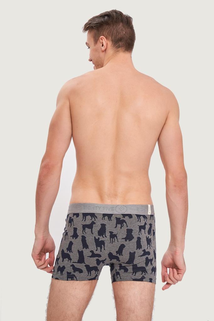 Трусы боксеры, 2 штуки John Frank (90600)