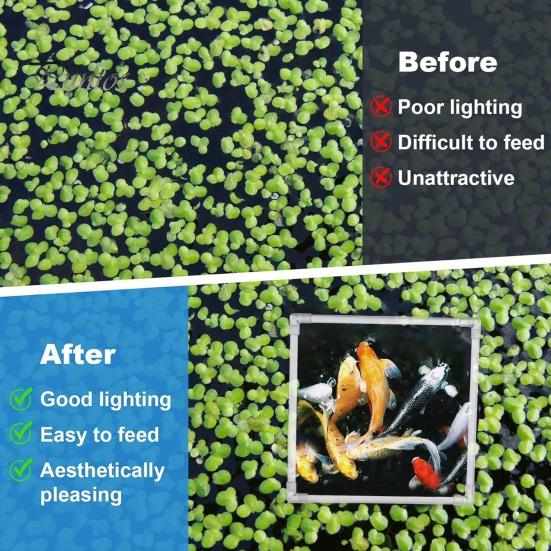 Fish Feeding Ring Aquarium Floating Food Feeder Square Ring with Suction Cup Fish Tank Accessories for Guppy Betta Goldfish