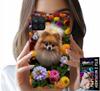 Etui Do Samsung Galaxy A22 5G - Słodki Piesek, Pomeranian Case + Szkło