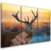 Three Piece Picture Canvas Print Deer Animals