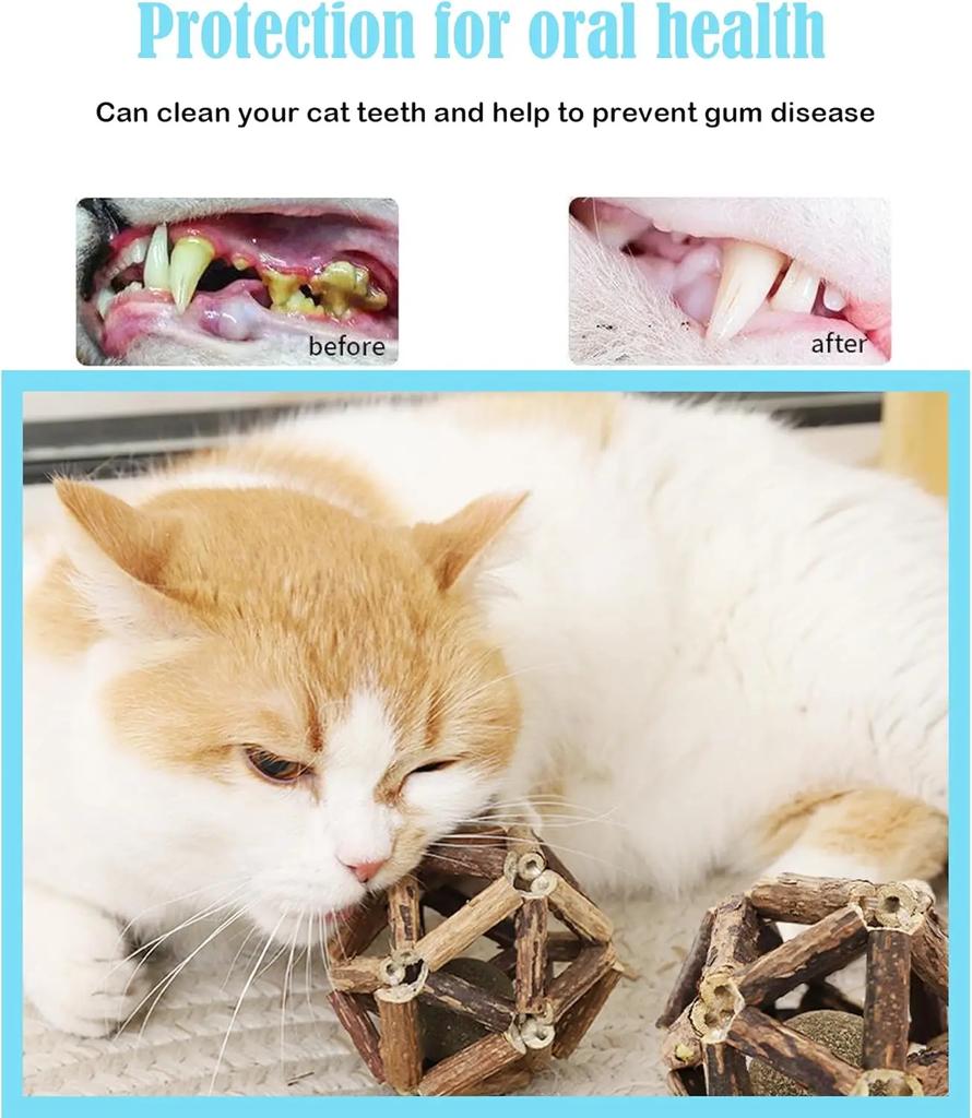 Игрушки с кошачьей мятой Интерактивные игрушки для домашних животных Кошачьи колокольчики Мячи для кошек Спортивная жевательная игрушка-головоломка Мяч с мятой Игрушка для чистки зубов для кошек в помещении