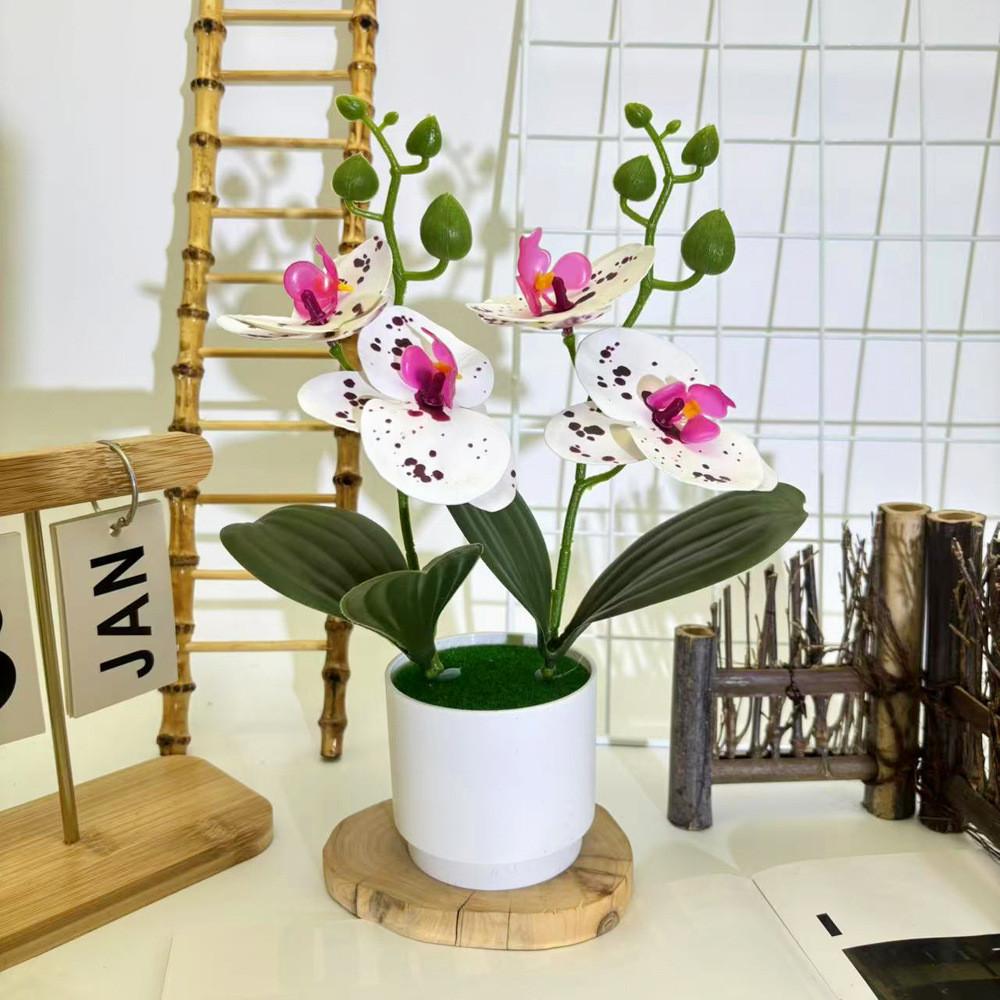 Phalaenopsis Flowers Artificial Decorative Plant For Home And Decoration Event