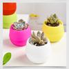 Succulent Plants Flower Pot Flower Pots Mini Desk Plants Succulents Pot Home Garden Decoration Nursery Pots Home Decor TMZ