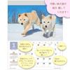 Настенный календарь Active Corporation 2027 года Mori Taibei Marugoto Shiba Inu 27ACL-11 Начинается в январе