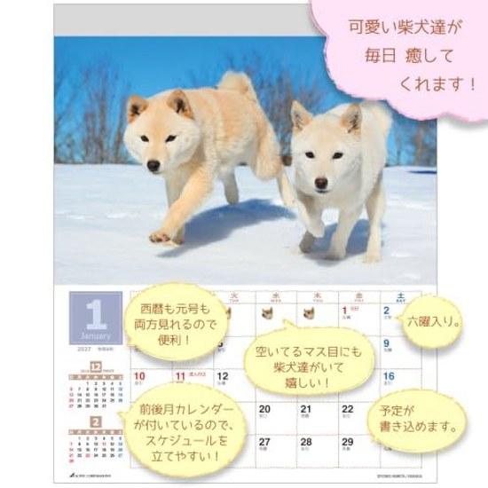 Настенный календарь Active Corporation 2027 года Mori Taibei Marugoto Shiba Inu 27ACL-11 Начинается в январе
